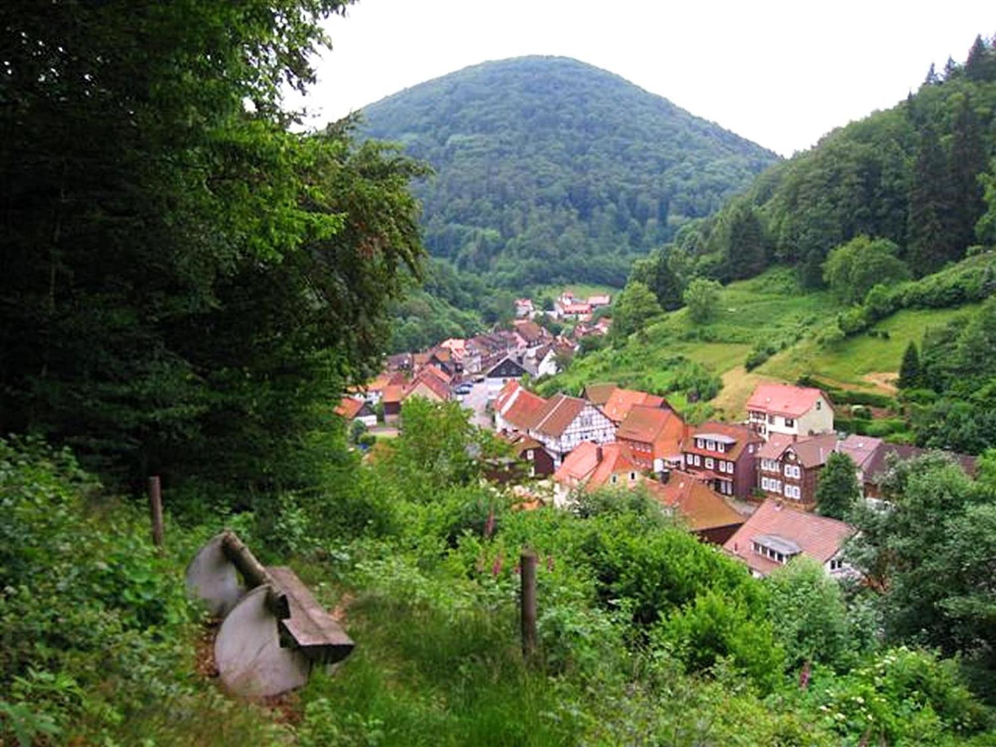 Zorge Spacious Group House In The Harz Region מראה חיצוני תמונה