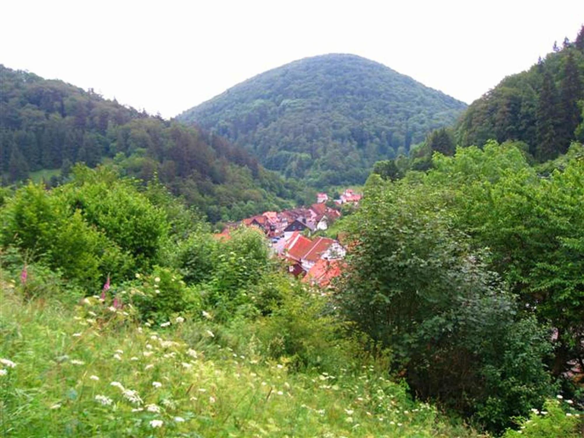 Zorge Spacious Group House In The Harz Region מראה חיצוני תמונה